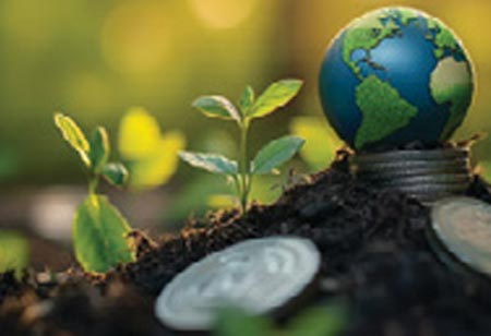 Sustainability Woven through Strategy